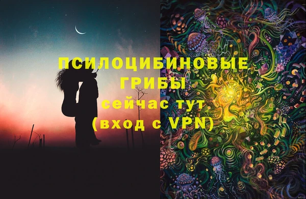 шишки Белокуриха